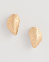 Chico's | Mixed Metal Shell Earrings/ Mixed Metals