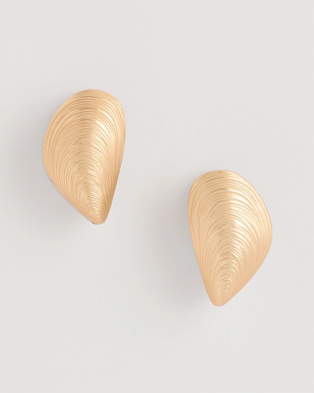 Chico's | Mixed Metal Shell Earrings/ Mixed Metals